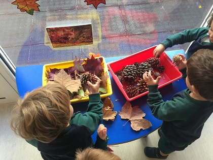 Los alumnos de Nursery 2 conocen los Frutos, hojas y piñas, característicos del otoño.