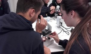Muestras de tejidos vegetales en 1º de Bachillerato