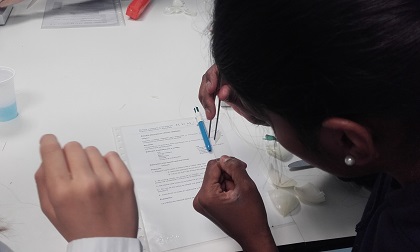 Muestras de tejidos vegetales en 1º de Bachillerato
