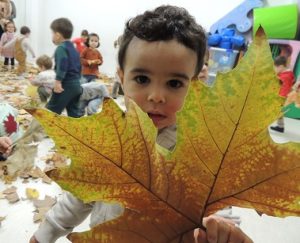 Celebramos la fiesta del otoño en Nursery 1 y 2.