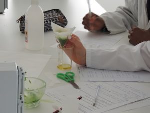 Cromatografía de pigmentos en Bachillerato