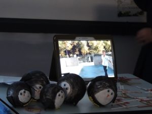 Proyecto sobre los polos en 6º de Primaria