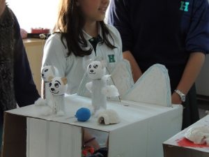 Proyecto sobre los polos en 6º de Primaria