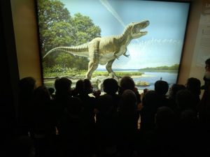 Visita al museo de ciencias naturales.