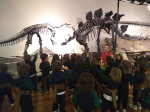 Visita al museo de ciencias naturales.