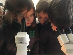 El origen de la vida en 2º de Infantil. 