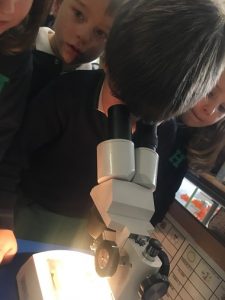 El origen de la vida en 2º de Infantil. 