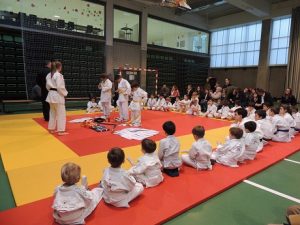 Exhibiciones de las actividades extraescolares. 