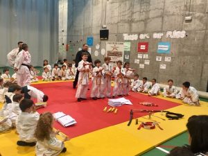 Exhibiciones de las actividades extraescolares. 