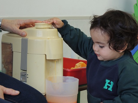 Conociendo los alimentos, los alumnos de Nursery 1 hacen zumo de frutas.