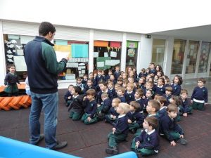 Proyecto animales y animaladas en 1º de Infantil 