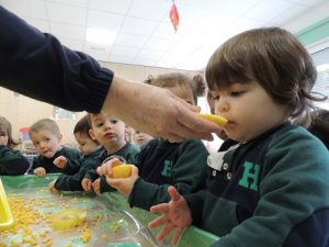 Taller sensorial en Nursery 1. 