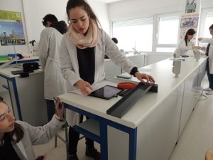 COMPROBACIÓN DEL TIRO HORIZONTAL en 1º de Bachillerato