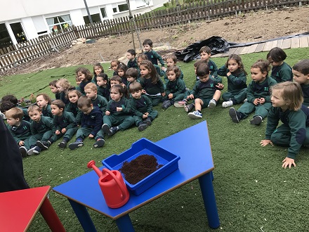 Proyecto el jardín de las maravillas en Nursery 2