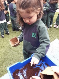 Proyecto el jardín de las maravillas en Nursery 2
