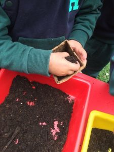 Proyecto el jardín de las maravillas en Nursery 2