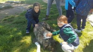 Alumnos de 2º y 3º de Infantil en la Granja Escuela