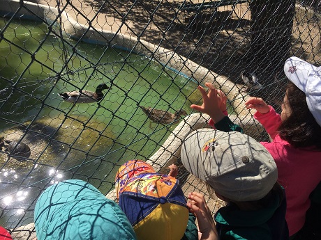 1º de Infantil visita la Granja.