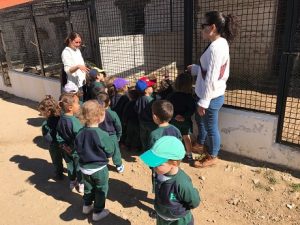Los alumnos de Nursery 2 visitan la granja escuela.