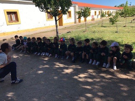 Los alumnos de Nursery 2 visitan la granja escuela.