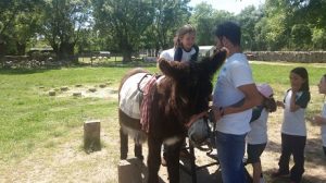 Alumnos de 1 y 2 de Primaria  ya están en la granja escuela NaturEscorial.