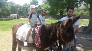 Alumnos de 1 y 2 de Primaria  ya están en la granja escuela NaturEscorial.