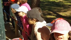 2ºy 3º de Infantil disfrutan de la naturaleza en la granja. 