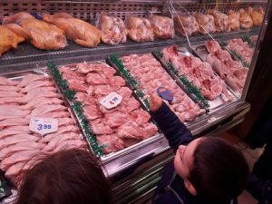 Los alumnos de Nursery 2 visitan el Zoco de Tres Cantos