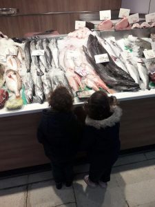 Los alumnos de Nursery 2 visitan el Zoco de Tres Cantos