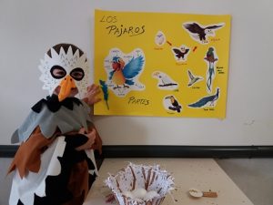 Proyecto animales y animaladas en 1º de Infantil.