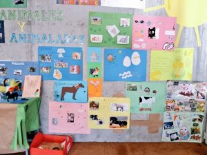 Proyecto animales y animaladas en 1º de Infantil.