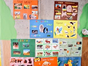 Proyecto animales y animaladas en 1º de Infantil.