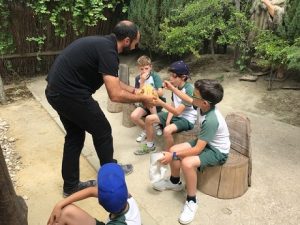 Alumnos de 2º y 4º de Primaria visitan Arqueopinto. 