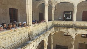 Visita al castillo de Manzanares el Real