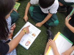 Repasando en el huerto 2º de Infantil