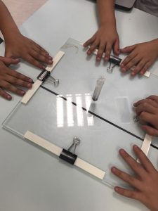 Taller Divermates en Primaria.