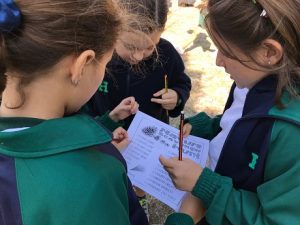 Los alumnos de 4º de Primaria realizan el Camino Schimd en Navacerrada.