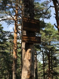 Los alumnos de 4º de Primaria realizan el Camino Schimd en Navacerrada.
