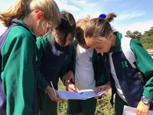 Los alumnos de 4º de Primaria realizan el Camino Schimd en Navacerrada.