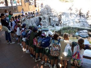 Los alumnos de 1º conocen el ecosistema acuático en el Zoo. 