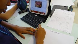 Proyecto Somos Arqueólogos en S1. 