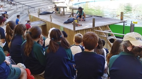 Alumnos de 6º de Primaria visitan Faunia.