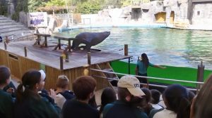 Alumnos de 6º de Primaria visitan Faunia. 