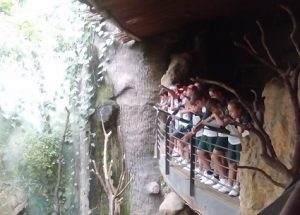 Alumnos de 6º de Primaria visitan Faunia. 