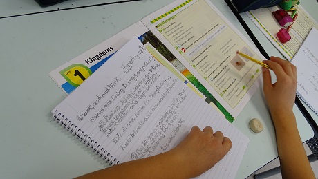En Science, los alumnos de 4º de Primaria.