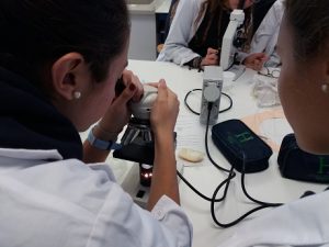 Estudio del proceso de la ósmosis en 1º de Bachillerato.