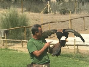 Alumnos de 3º de primaria visitan el Safari Park. 
