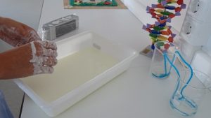 Los alumnos de 4º de E.S.O. realizan prácticas con el método científico 
