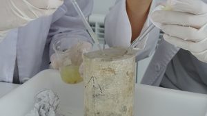 Los alumnos de 4º de E.S.O. realizan prácticas con el método científico 