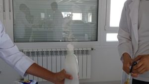 Los alumnos de 4º de E.S.O. realizan prácticas con el método científico 